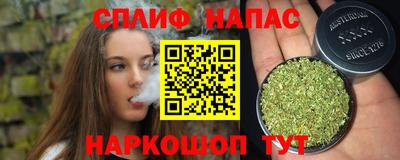 крисы Краснодар