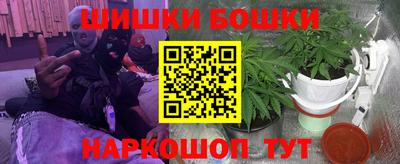 крисы Краснодар