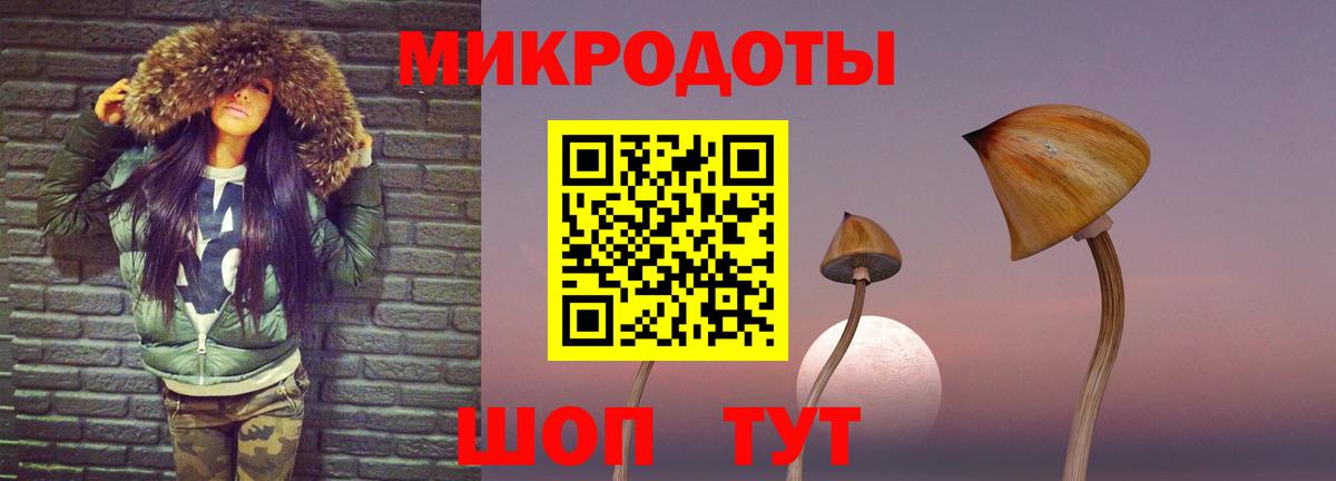 Псилоцибиновые грибы GOLDEN TEACHER  Вход с VPN  Керчь 